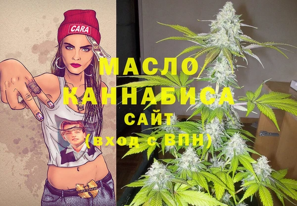 индика Баксан