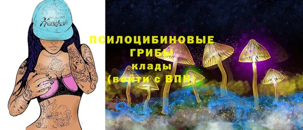 мдма Заводоуковск