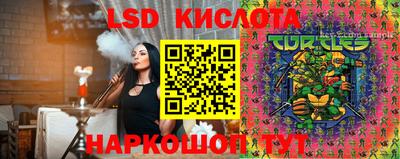 мяу мяу мука Кимры