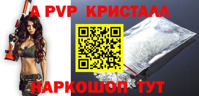 круглые Кингисепп