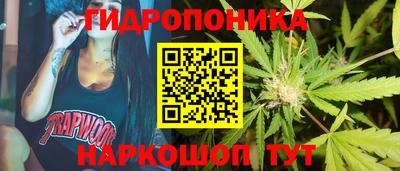 круглые Кингисепп