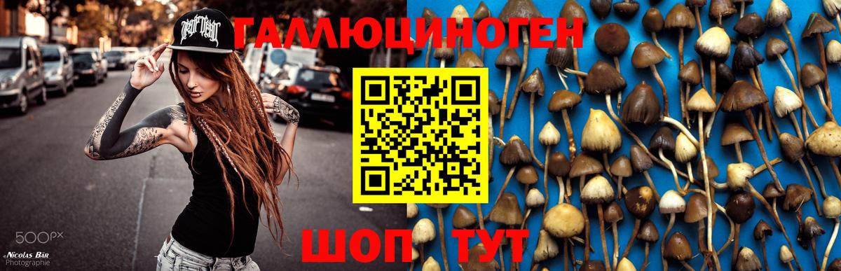 Псилоцибиновые грибы Magic Shrooms Ульяновск